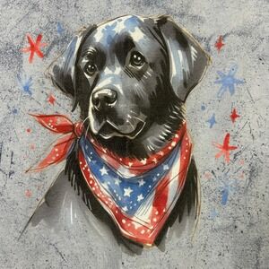 Comfort Colors Dog Graphic T-Shirt Patriotic Black‎ Lab Tie Dye 2XL